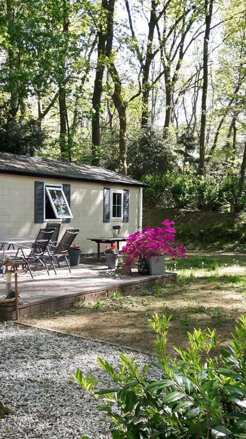 Chalet Gem Villa Wageningen Dış mekan fotoğraf