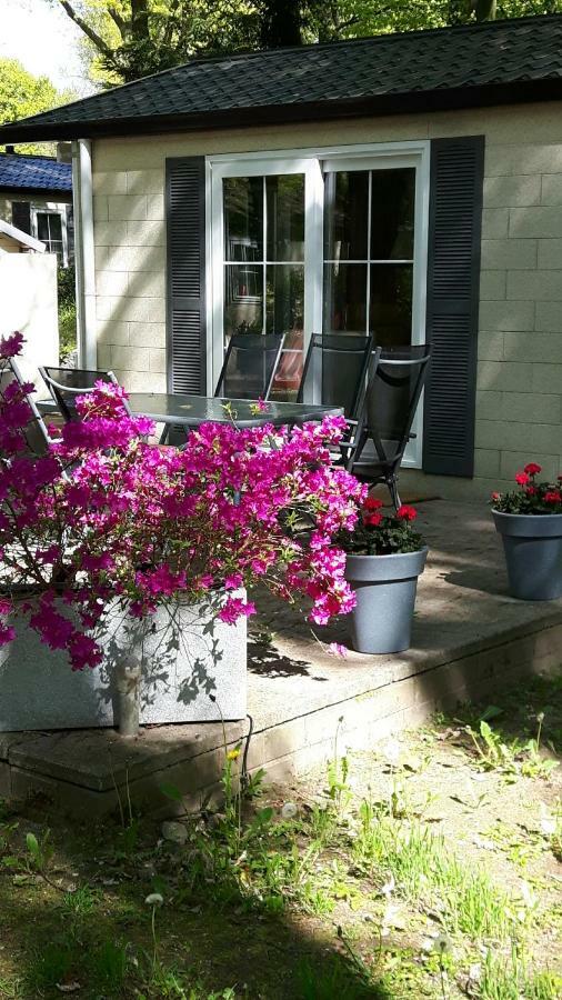 Chalet Gem Villa Wageningen Dış mekan fotoğraf